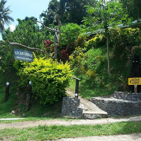 סאבוסאבו Gecko Lodge Fiji מראה חיצוני תמונה