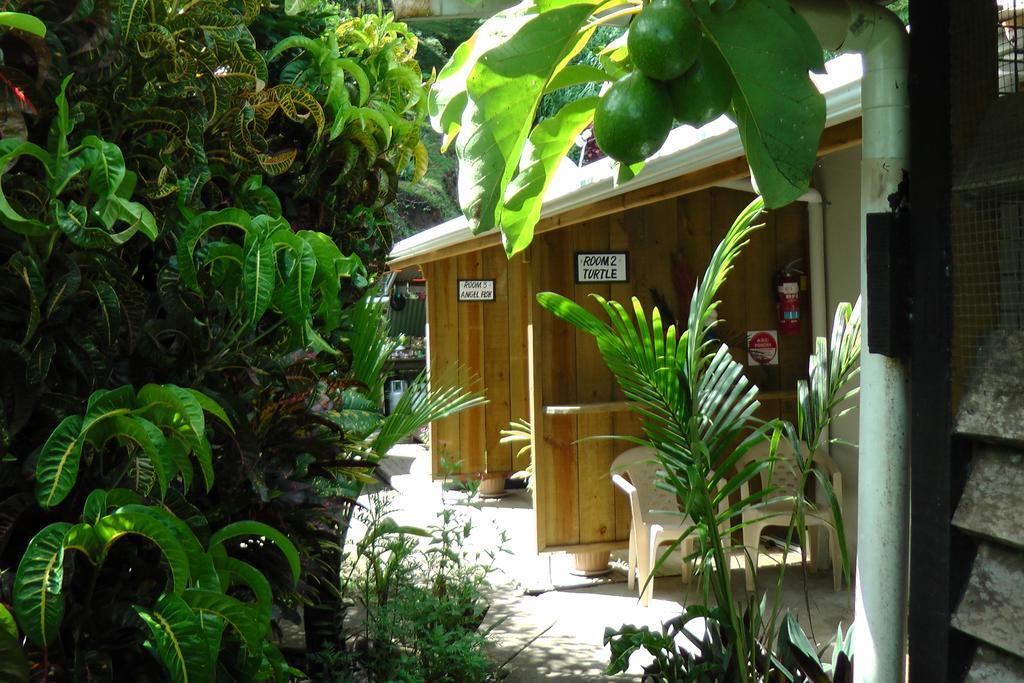 סאבוסאבו Gecko Lodge Fiji מראה חיצוני תמונה
