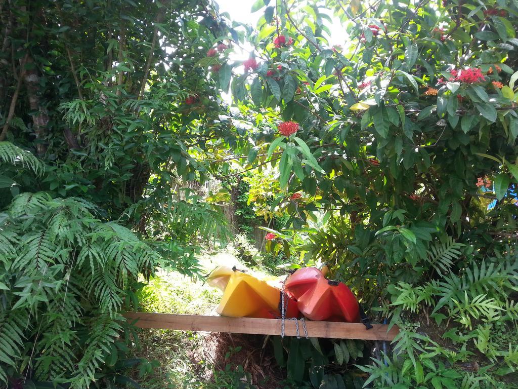 סאבוסאבו Gecko Lodge Fiji מראה חיצוני תמונה